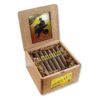 Acid Atom Maduro cigars, box of 24