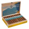 AVO Syncro South American Ritmo Robusto cigars, box of 20