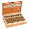 AVO XO Intermezzo cigars, box of 20