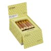 CAO Flavours Petite Corona Honey cigars, box of 25