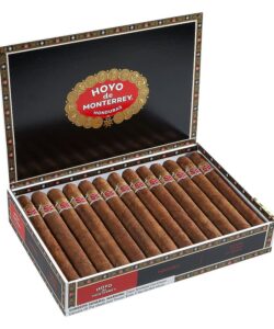 Hoyo de Monterrey Sultans Cigars - Maduro – Box of 25
