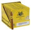 Partagas Purito cigars, pack of 100