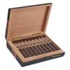 Rocky Patel Gold Maduro Toro cigars, box of 20